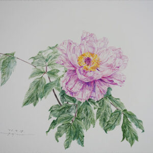 デッサン 素描 のおすすめ作品・人気作家 牡丹スケッチ，色鉛筆画，Colored pencil drawing， 牡丹スケッチ 1 インテリア絵画 アート