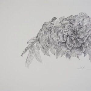 デッサン 素描 のおすすめ作品・人気作家 牡丹素描，鉛筆，Pencil drawing ， 牡丹スケッチ 3 インテリア絵画 アート