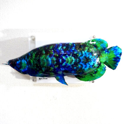 彫刻 レリーフ 立体アート のおすすめ作品・人気作家 動物 立体 魚 contemporary アロワナ コンテンポラリーアート トカゲ ポップアート 彫刻 蒼めくアロワナが空を舞う インテリア絵画 アート