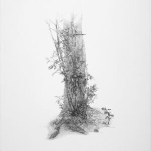 版画 のおすすめ作品・人気作家 銅版画，エッチング，Etching，樹，tree， 「And I Love Her」（銅版画） インテリア絵画 アート