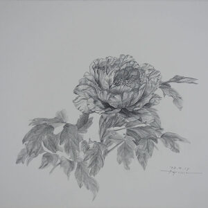 デッサン 素描 のおすすめ作品・人気作家 牡丹スケッチ，鉛筆画，Pencil drawing ， 牡丹スケッチ 4 インテリア絵画 アート