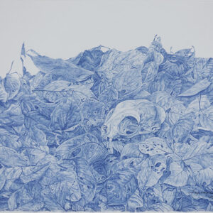 デッサン 素描 のおすすめ作品・人気作家 猫頭骨，クレヨン，crayon bleu，静物スケッチ，Dessin，Drawing， 「猫頭骨 私は私 」 インテリア絵画 アート