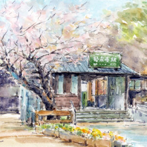 水彩画 のおすすめ作品・人気作家 さくら江ノ電極楽寺駅鎌倉春湘南 水彩画原画　極楽寺駅前の桜　＃726 インテリア絵画 アート