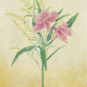 日本画 のおすすめ作品・人気作家 ピンク 植物 緑 自然 花 黄土 百合水仙〈アルストロメリア〉 インテリア絵画 アート