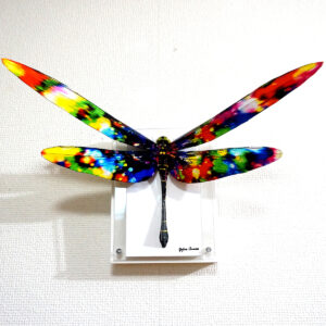 彫刻 レリーフ 立体アート のおすすめ作品・人気作家 動物 立体 contemporary コンテンポラリーアート トカゲ トンボ ポップアート 彫刻 昆虫 虫 色めくトンボは羽を広げる インテリア絵画 アート