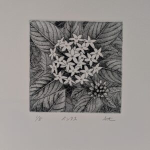 版画 のおすすめ作品・人気作家 花 黒 銅版画 額有 ペンタス インテリア絵画 アート