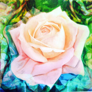 版画 のおすすめ作品・人気作家 花 バラ ローズファンタジー1/5(植243) インテリア絵画 アート