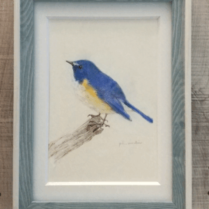 水彩画 のおすすめ作品・人気作家 水彩画 鳥 色鉛筆画 鉛筆 repose インテリア絵画 アート