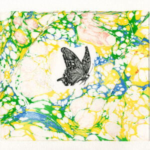 版画 のおすすめ作品・人気作家 蝶とマーブリング，ふのり，マーブリングコーム， 蝶とマーブリング 1 インテリア絵画 アート