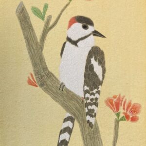 日本画 のおすすめ作品・人気作家 鳥 キツツキ 動植物 木瓜とアカゲラ インテリア絵画 アート