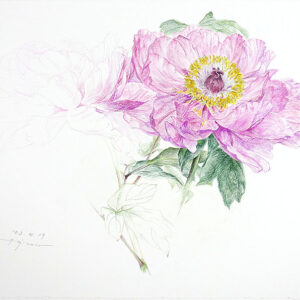 デッサン 素描 のおすすめ作品・人気作家 牡丹スケッチ,色鉛筆画,Colored pencil drawing, 牡丹スケッチ 2 インテリア絵画 アート