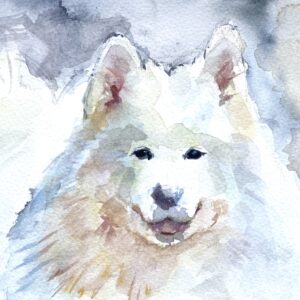 水彩画 のおすすめ作品・人気作家 ＃犬＃動物 サモエド インテリア絵画 アート