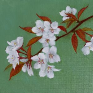 油絵 のおすすめ作品・人気作家 花癒し白自然桜緑 sakura インテリア絵画 アート