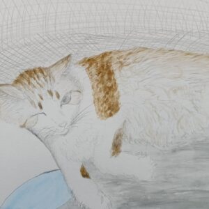 水彩画 のおすすめ作品・人気作家 猫 水彩 cat インテリア絵画 アート