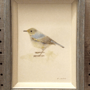 水彩画 のおすすめ作品・人気作家 水彩画 鳥 色鉛筆画 Siberian Blue Robin インテリア絵画 アート