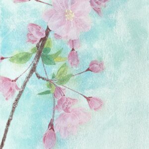 日本画 のおすすめ作品・人気作家 ピンク 植物 自然 花 青 花海棠 インテリア絵画 アート