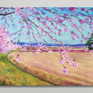 油絵 のおすすめ作品・人気作家 ピンク 油絵 花 ブルー 春 桜 風景 風景画 寒桜の丘　青空の下で インテリア絵画 アート