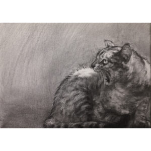 デッサン 素描 のおすすめ作品・人気作家 猫 drawing pencildrawing ねこ ネコ ペン 猫 鉛筆 鉛筆デッサン サバトラの咆哮 インテリア絵画 アート