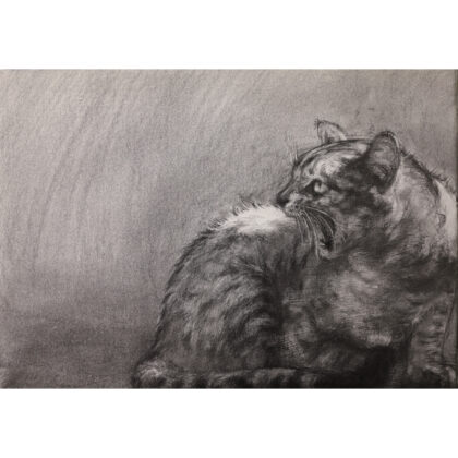 デッサン 素描 のおすすめ作品・人気作家 猫 drawing pencildrawing ねこ ネコ ペン 猫 鉛筆 鉛筆デッサン サバトラの咆哮 インテリア絵画 アート