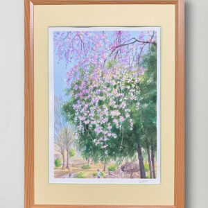 水彩画 のおすすめ作品・人気作家 ピンク 水彩画 グリーン 春 桜 風景 風景画 しだれ桜の木の下で インテリア絵画 アート