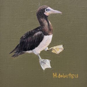 油絵 のおすすめ作品・人気作家 鳥油絵カツオドリ カツオドリ インテリア絵画 アート