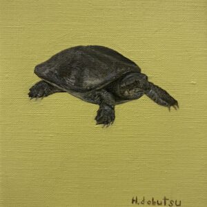 油絵 のおすすめ作品・人気作家 すっぽん亀動物 すっぽん インテリア絵画 アート