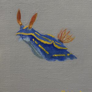 油絵 のおすすめ作品・人気作家 アオウミウシウミウシ海牛油絵 アオウミウシ インテリア絵画 アート