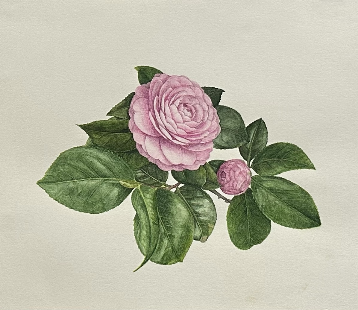   澁澤　燈 インテリア絵画 アート