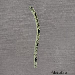 油絵 のおすすめ作品・人気作家 チンアナゴ魚油絵 チンアナゴ インテリア絵画 アート