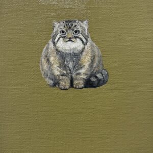 油絵 のおすすめ作品・人気作家 マヌルネコ猫ネコ動物油絵 マヌルネコ インテリア絵画 アート