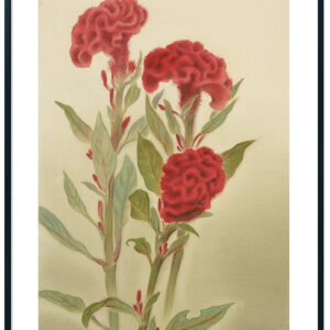 絵画 のおすすめ作品・人気作家 絹本 日本画 植物画 雲母 キラ ぼかし技法 植物画 / 鶏頭-けいとう インテリア絵画 アート