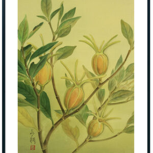 絵画 のおすすめ作品・人気作家 絹本　日本画　植物画　雲母　キラ　ぼかし技法 クチナシの実 インテリア絵画 アート