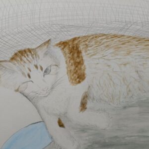 水彩画 のおすすめ作品・人気作家 猫 猫 インテリア絵画 アート