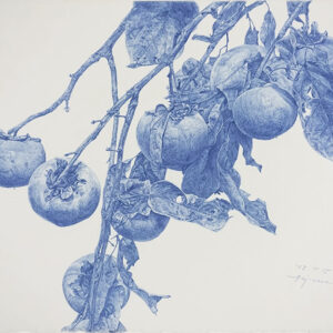 デッサン 素描 のおすすめ作品・人気作家 柿スケッチブルーコンテ植物画 柿 1 インテリア絵画 アート
