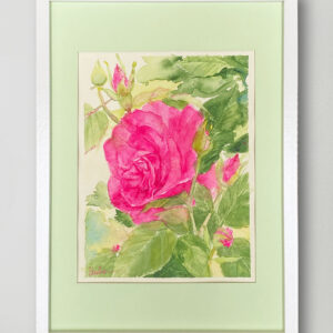 水彩画 のおすすめ作品・人気作家 ピンク 水彩画 花 ばら グリーン バラ ローズ 薔薇 夢見るピンクローズの花 インテリア絵画 アート