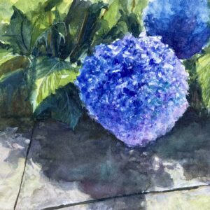 絵画 のおすすめ作品・人気作家 水彩画 花 ブルー 紫陽花 陰日向に咲く インテリア絵画 アート