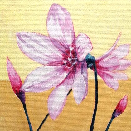 アクリル画 のおすすめ作品・人気作家 ピンク 花 赤 黄色 ベージュ 大きい two-tone 　花３ インテリア絵画 アート