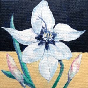 アクリル画 のおすすめ作品・人気作家 白 花 アフリカ ベージュ 和 紫 紺 蝶 香り 香水 two-tone 花2 インテリア絵画 アート