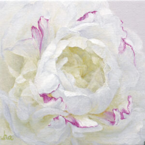油絵 のおすすめ作品・人気作家 ピンク 油彩 油絵 白 花 floral oilpainting peony Satoru Satoru Tsuyuha Tsuyuha シャクヤク 芍薬 覚 露羽 露羽 覚 紅縁の白芍薬（2026） Pink-edged White Peony インテリア絵画 アート