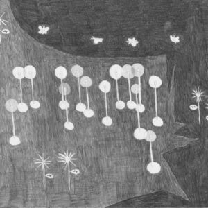 絵画 のおすすめ作品・人気作家 鉛筆夜花 夜光花 インテリア絵画 アート