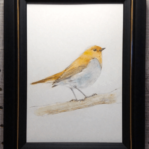 水彩画 のおすすめ作品・人気作家 水彩画 鳥 色鉛筆画 鳥 serenity インテリア絵画 アート