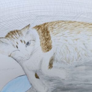 水彩画 のおすすめ作品・人気作家 猫 睡眠 猫 インテリア絵画 アート