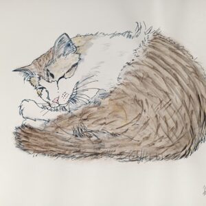 パステル画 のおすすめ作品・人気作家 猫 パステル マドレーヌ インテリア絵画 アート