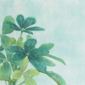 日本画 のおすすめ作品・人気作家 植物 緑 自然 葉 観葉植物 青 シェフレラ インテリア絵画 アート