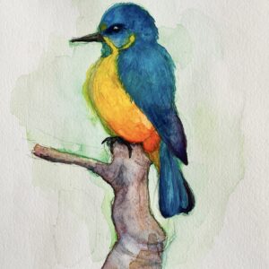 水彩画 のおすすめ作品・人気作家 動物 水彩画 鳥 Yuka Mitsufuji yukaarts アート販売 アート買う インテリア リアリズム 光藤有佳 写実画 カワセミ インテリア絵画 アート