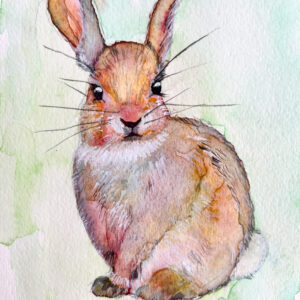 水彩画 のおすすめ作品・人気作家 動物 水彩画 Yuka Mitsufuji yukaarts うさぎ アート販売 アート買う インテリア リアリズム 光藤有佳 写実画 野うさぎ インテリア絵画 アート
