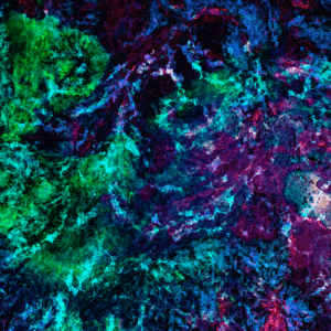 抽象画 のおすすめ作品・人気作家 抽象画　デジタルアート　写真　art　digitalart　photograph　abstract 蠢き インテリア絵画 アート