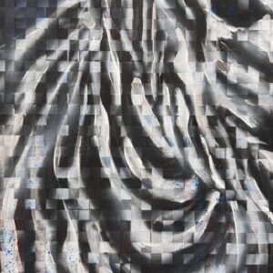 Uncategorized アクリル動物シマウマ camouflage -stripe Z- インテリア絵画 アート