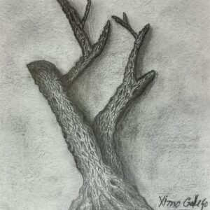 画家 Ximo Gallego 