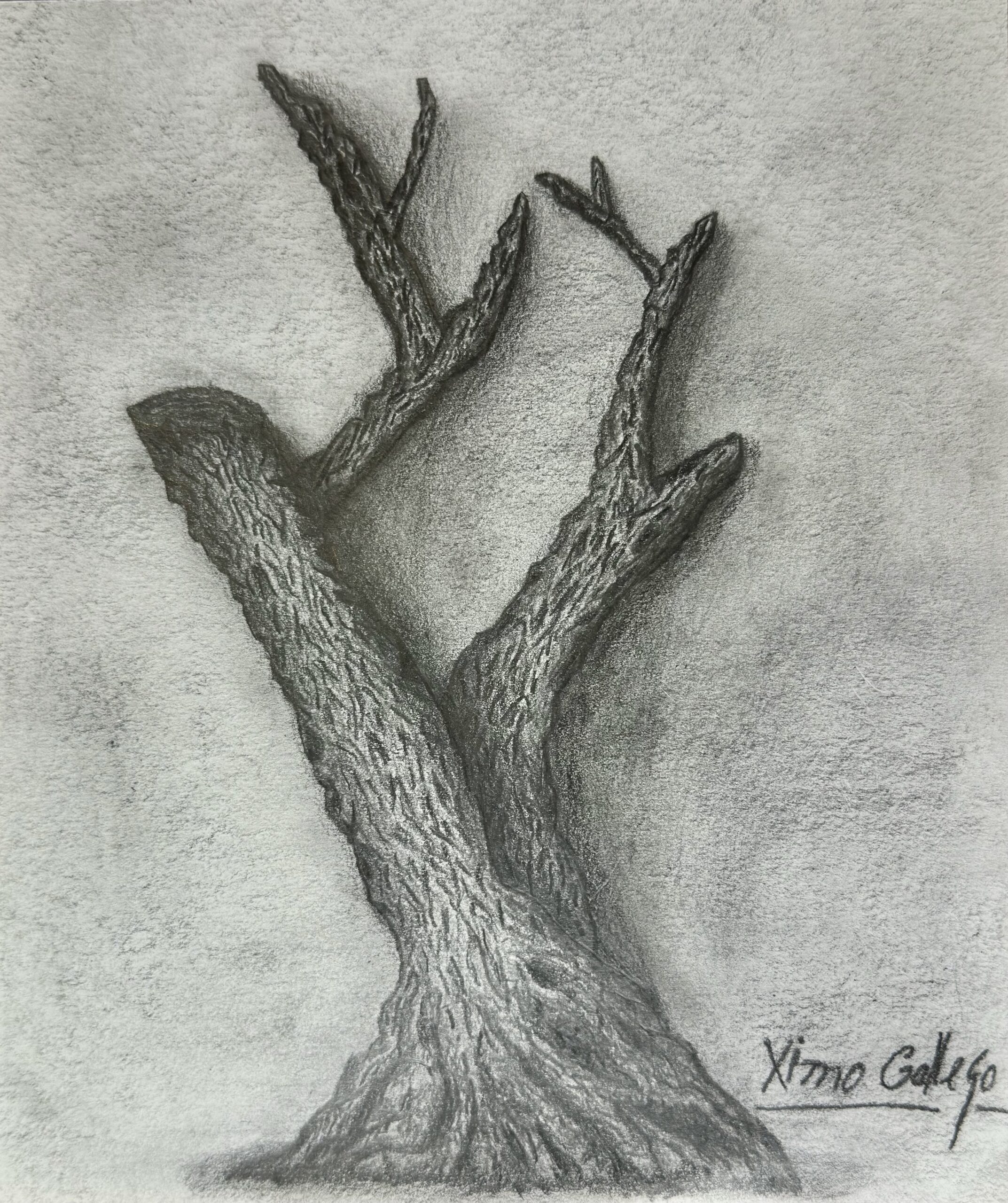   Ximo Gallego インテリア絵画 アート